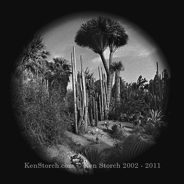 Desert Landscape - Exotica - Circular Camera Lens Hack