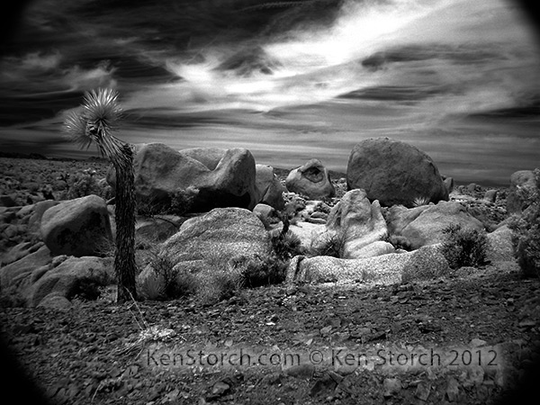 Joshua Tree Park in Infrared IR - © Ken Storch 2011,2012