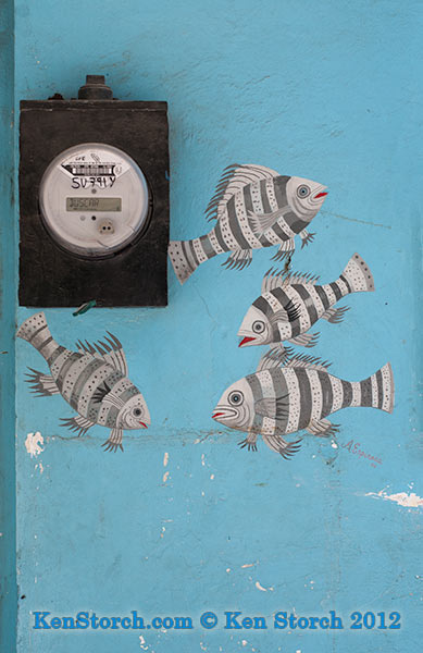 electric meter swims with the fishes